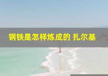 钢铁是怎样炼成的 扎尔基